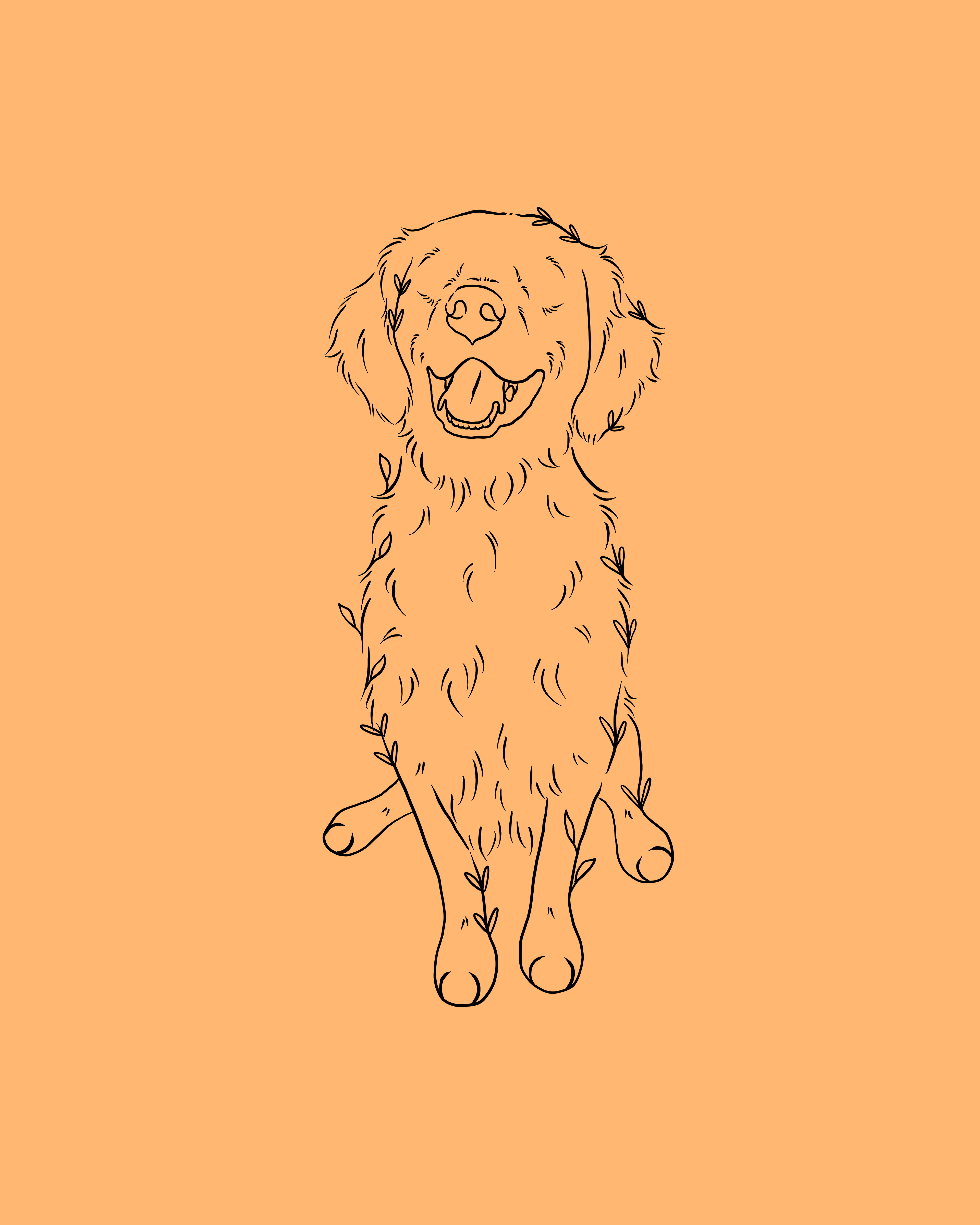 All Pawtraits