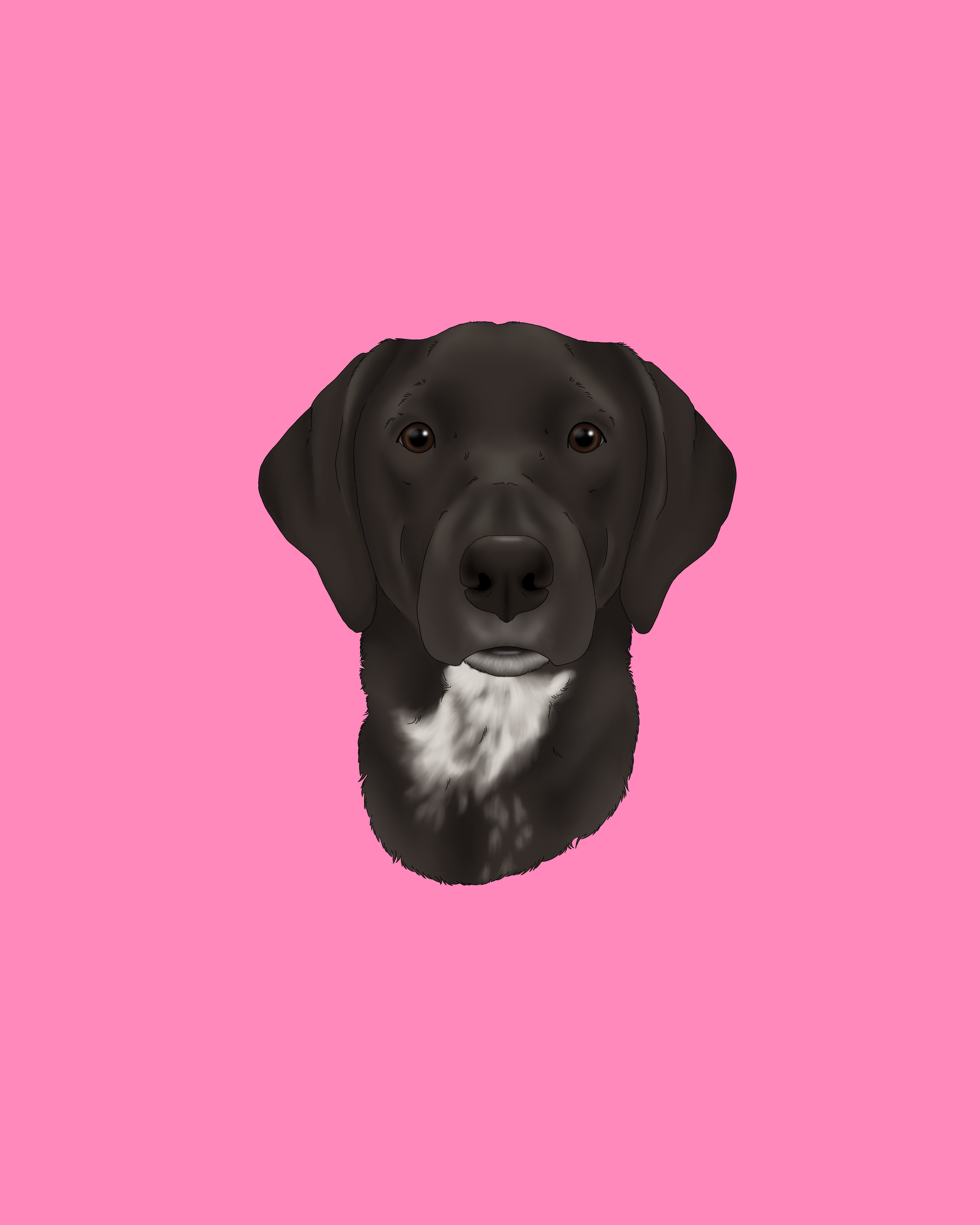 Signature Style (digital only)
