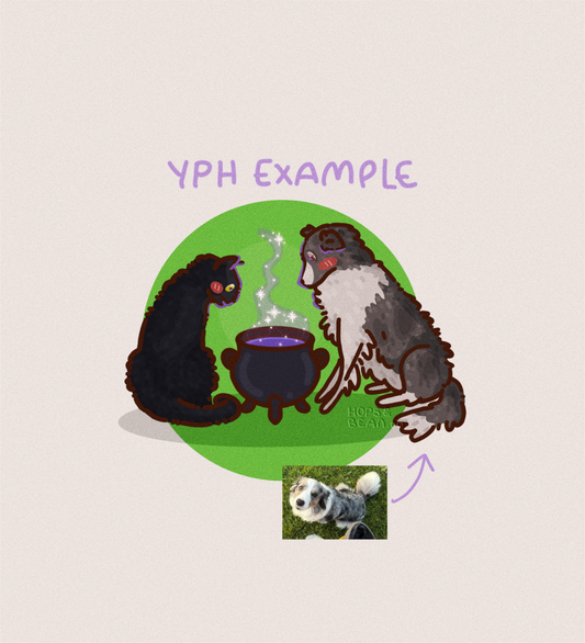 YPH - Witches Brew (digital only)