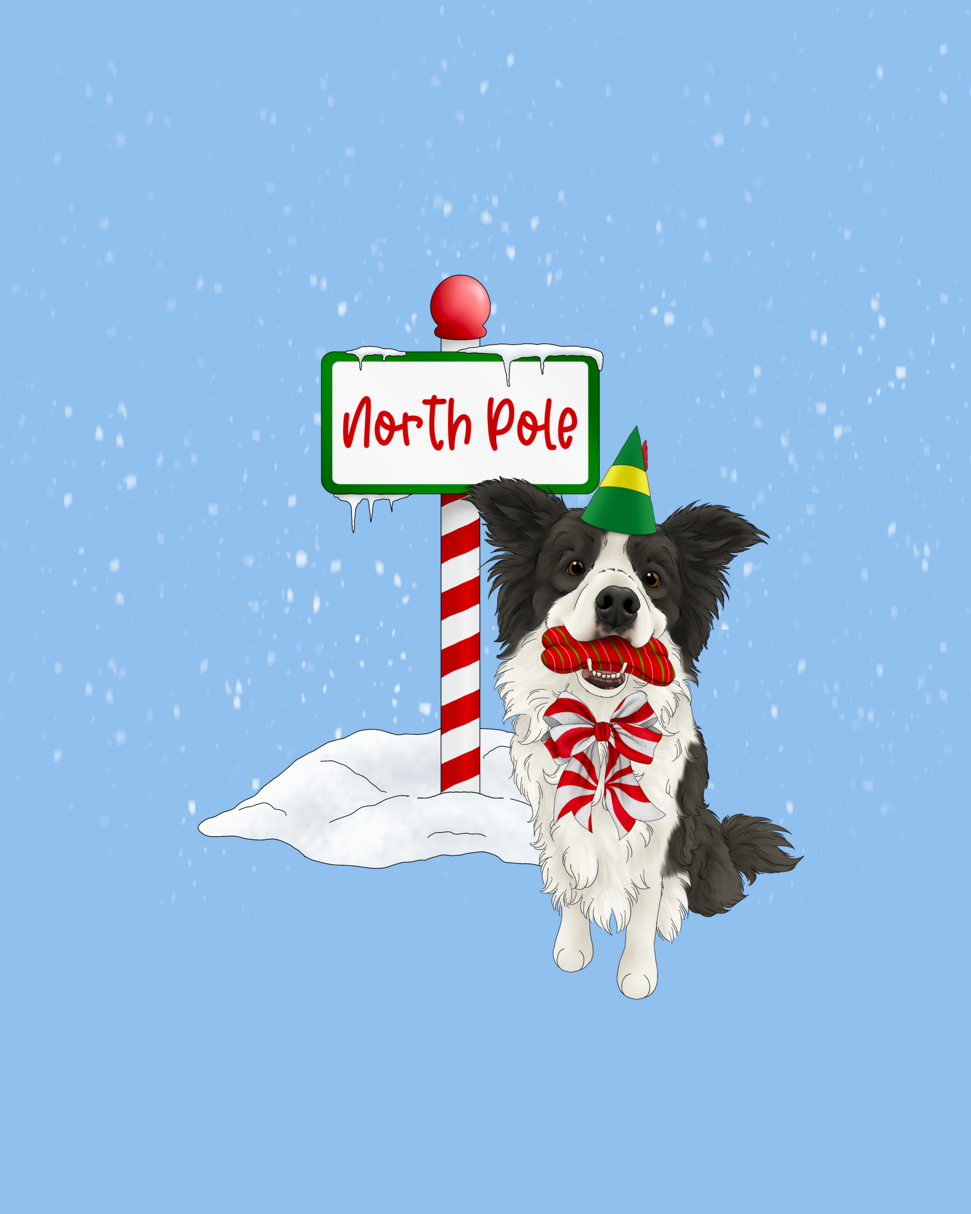 2025 Christmas Add-Ons