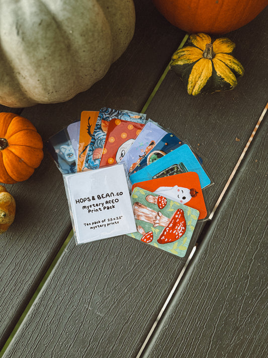 10 Pack of Mystery ACEO's - Halloween