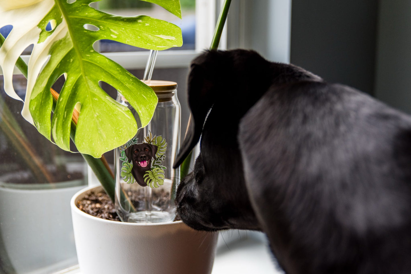 Custom Pawtrait Glass Cup