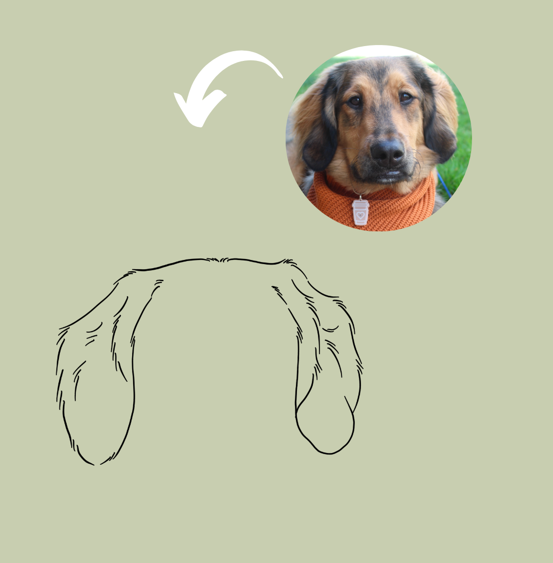 Custom Ear Outline Pawtrait (digital)