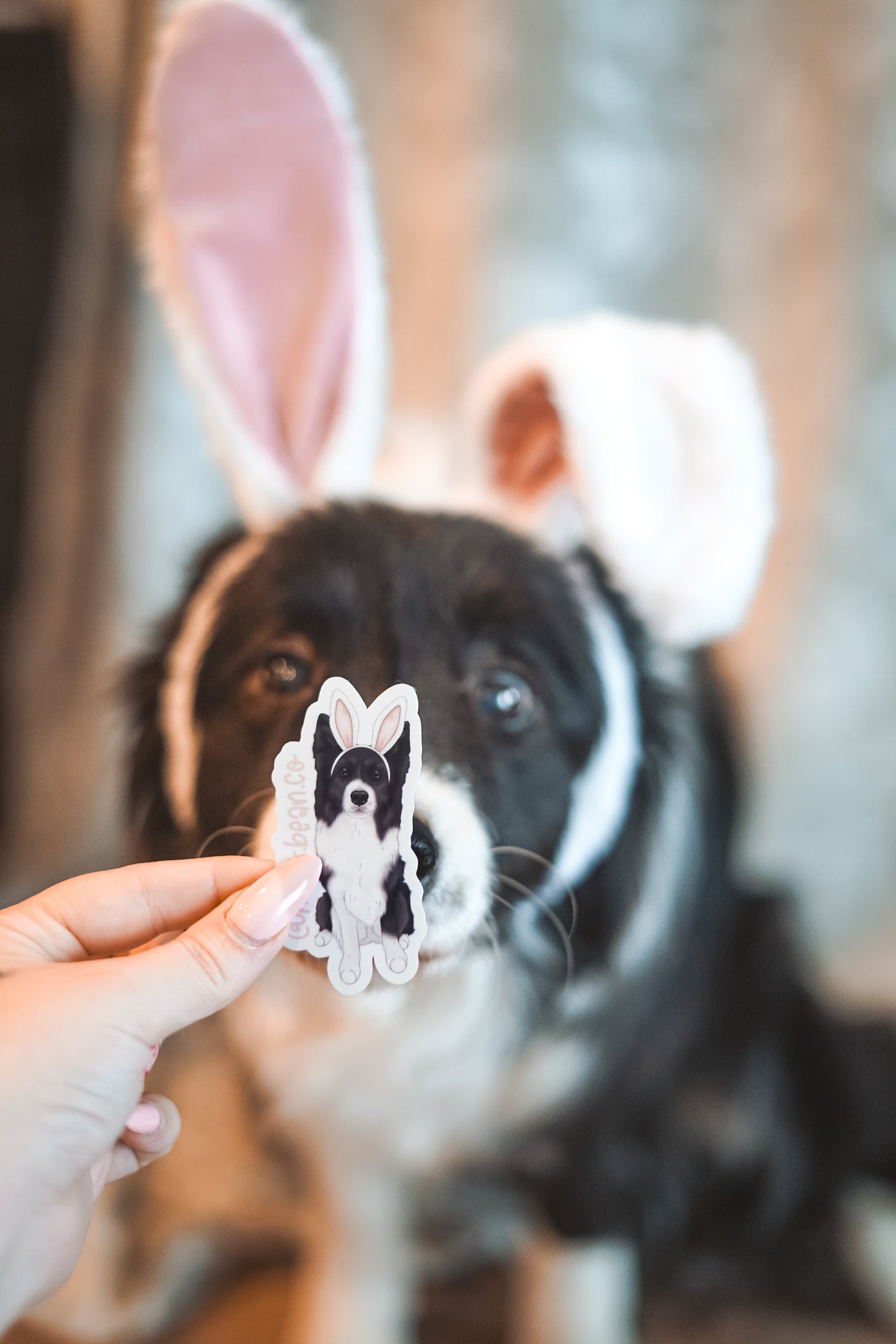 Pawtrait Stickers