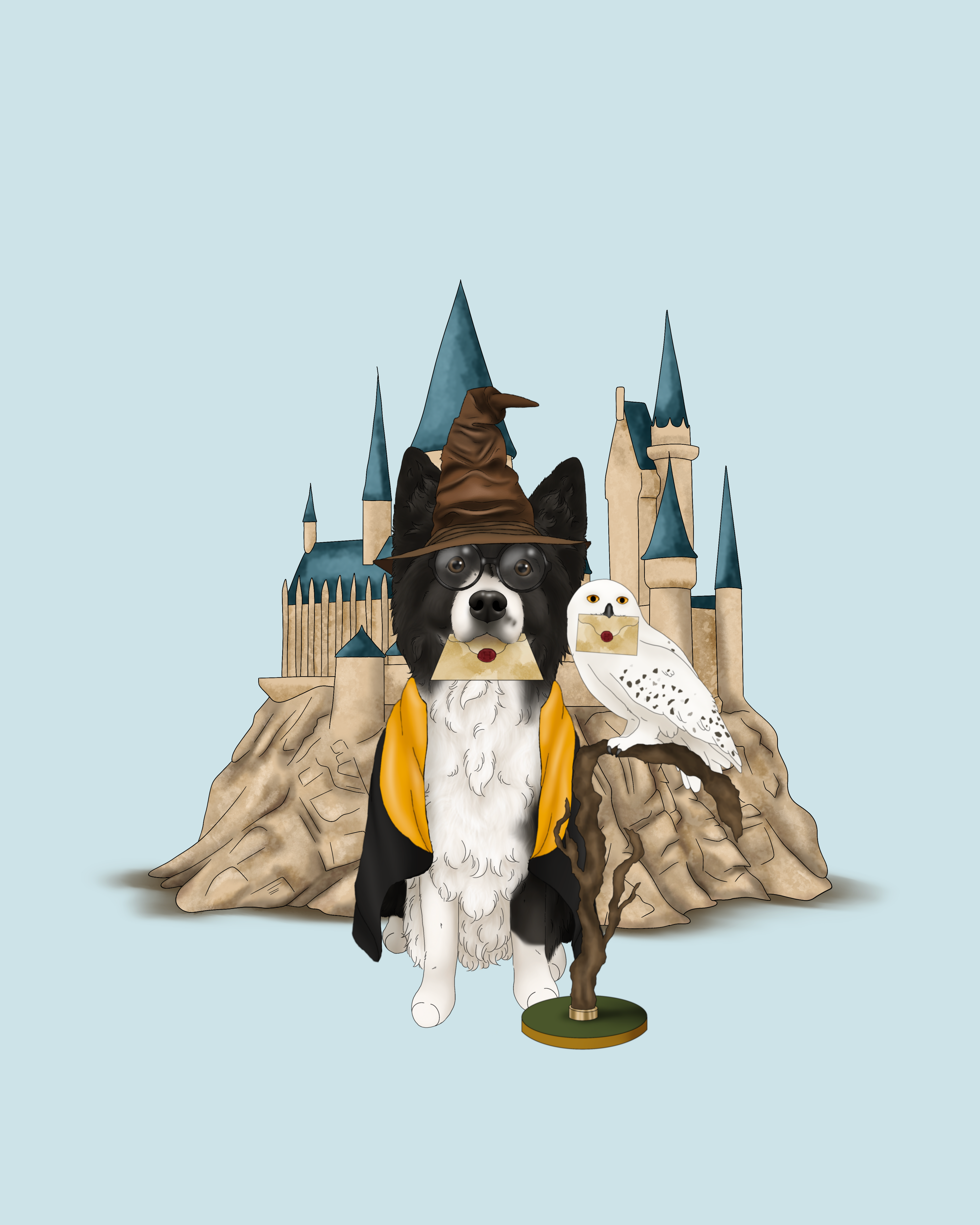 Harry Potter Add-Ons