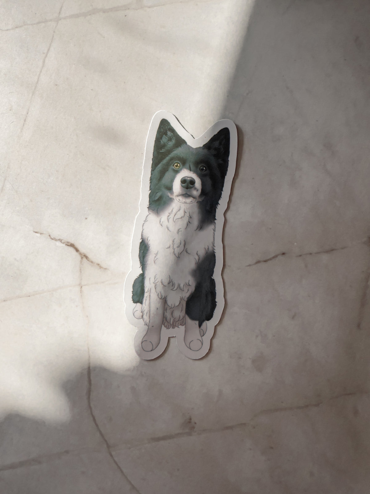 Pawtrait Magnets