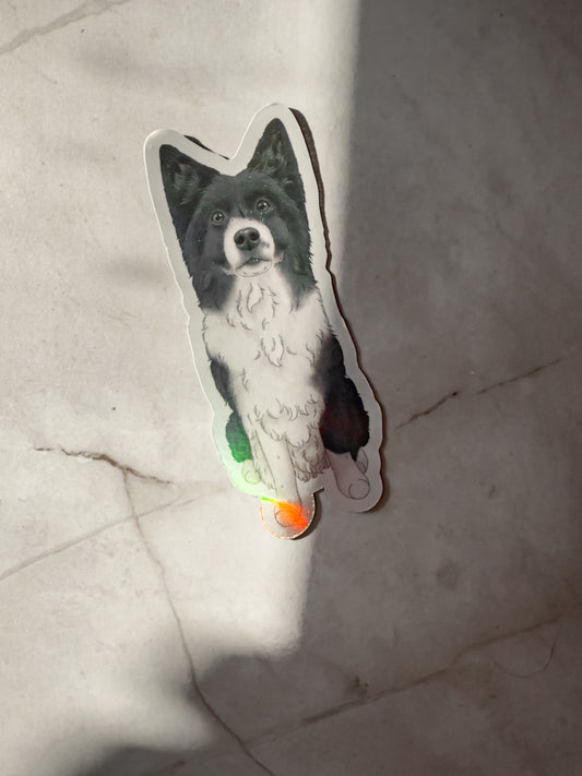 Pawtrait Magnets