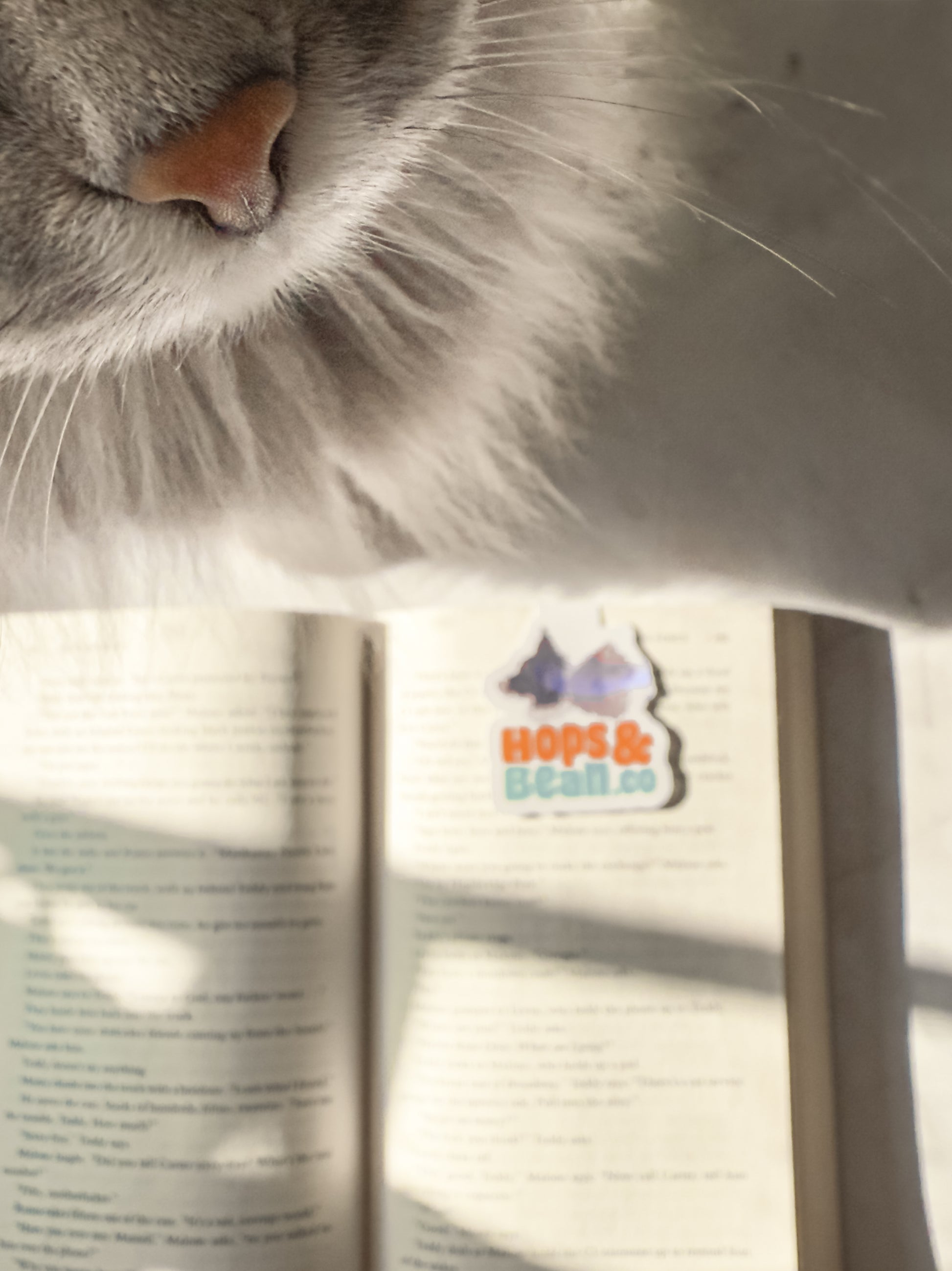 Bean Snaps (magnetic bookmark)