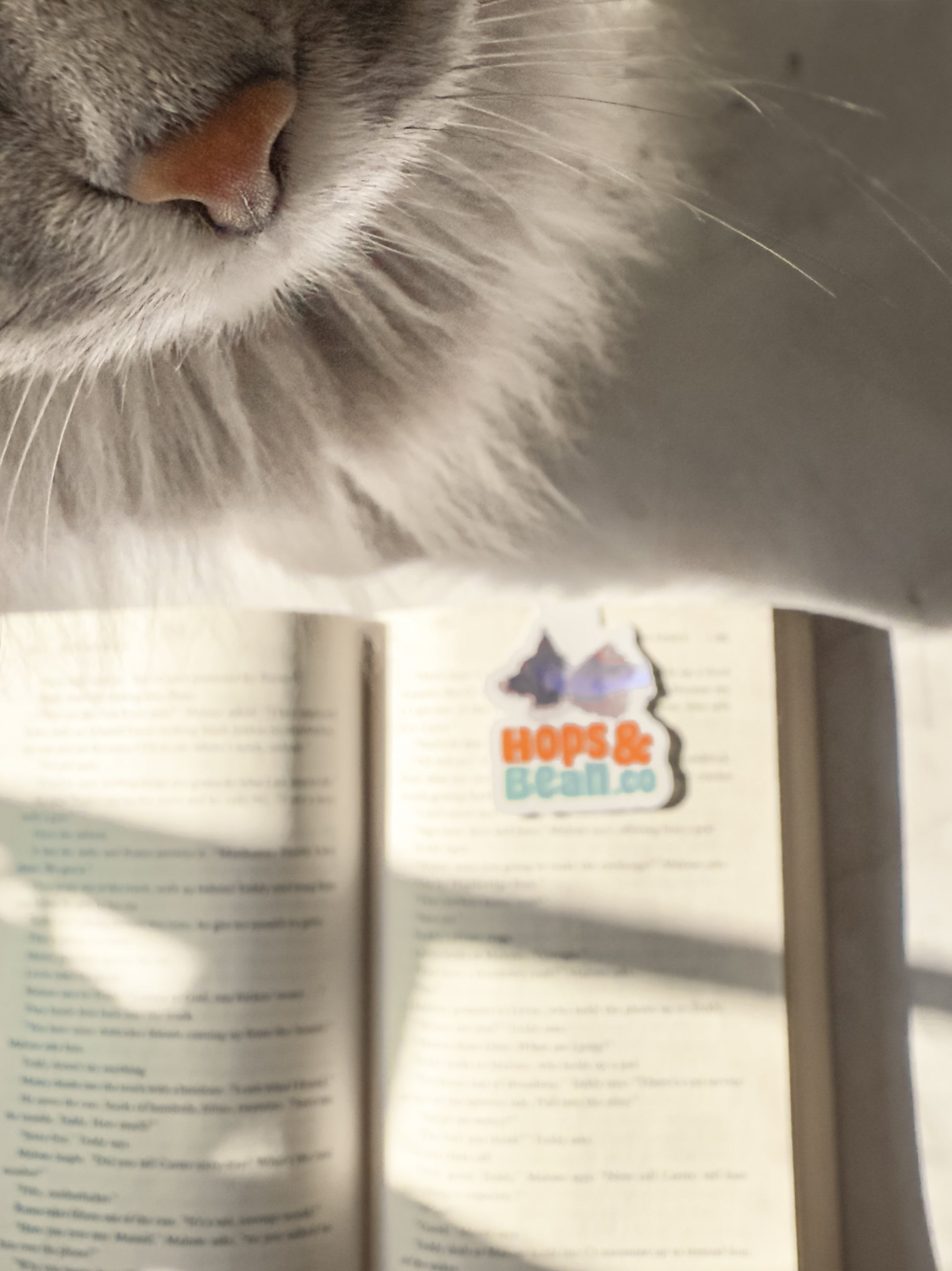 Bean Snaps (magnetic bookmark)