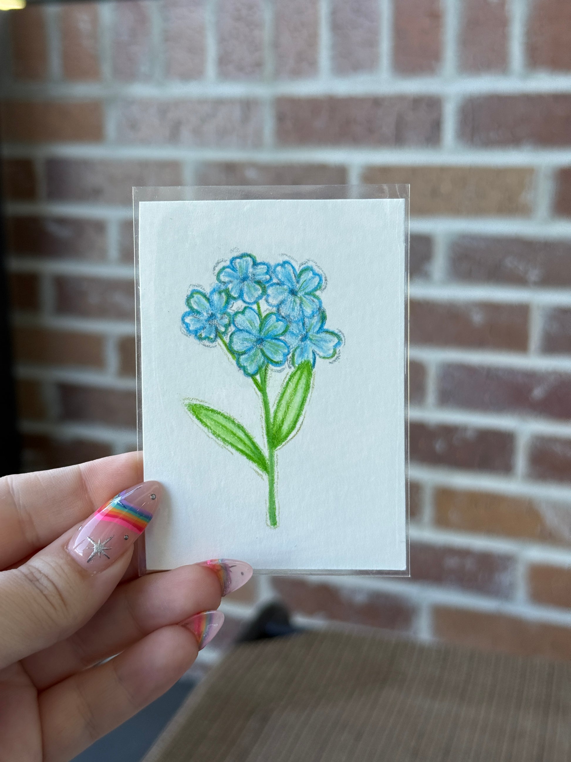 ACEO Original Mini Colored Pencil Art "Forget me nots” 2.5x3.5 // floral // flower // forgetmenot // gifts // artwork // (Copy)