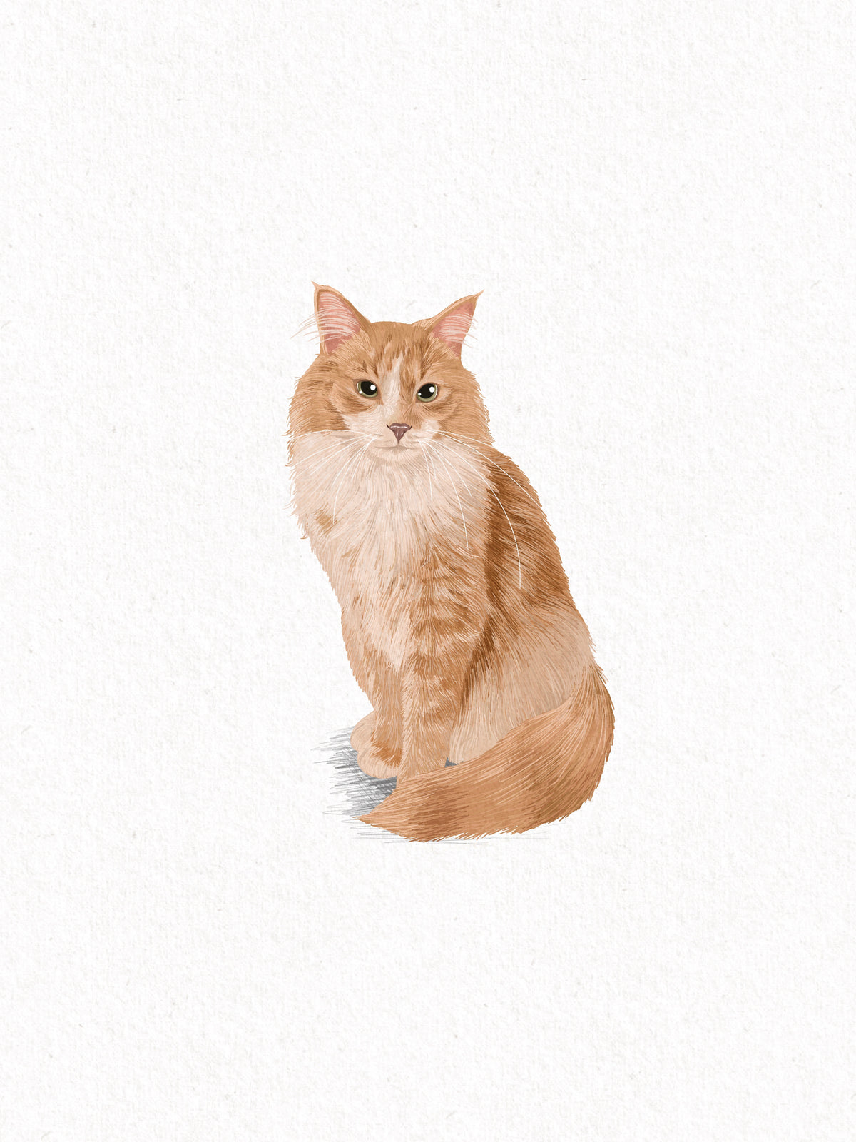 Colored Pencil Style (digital only)