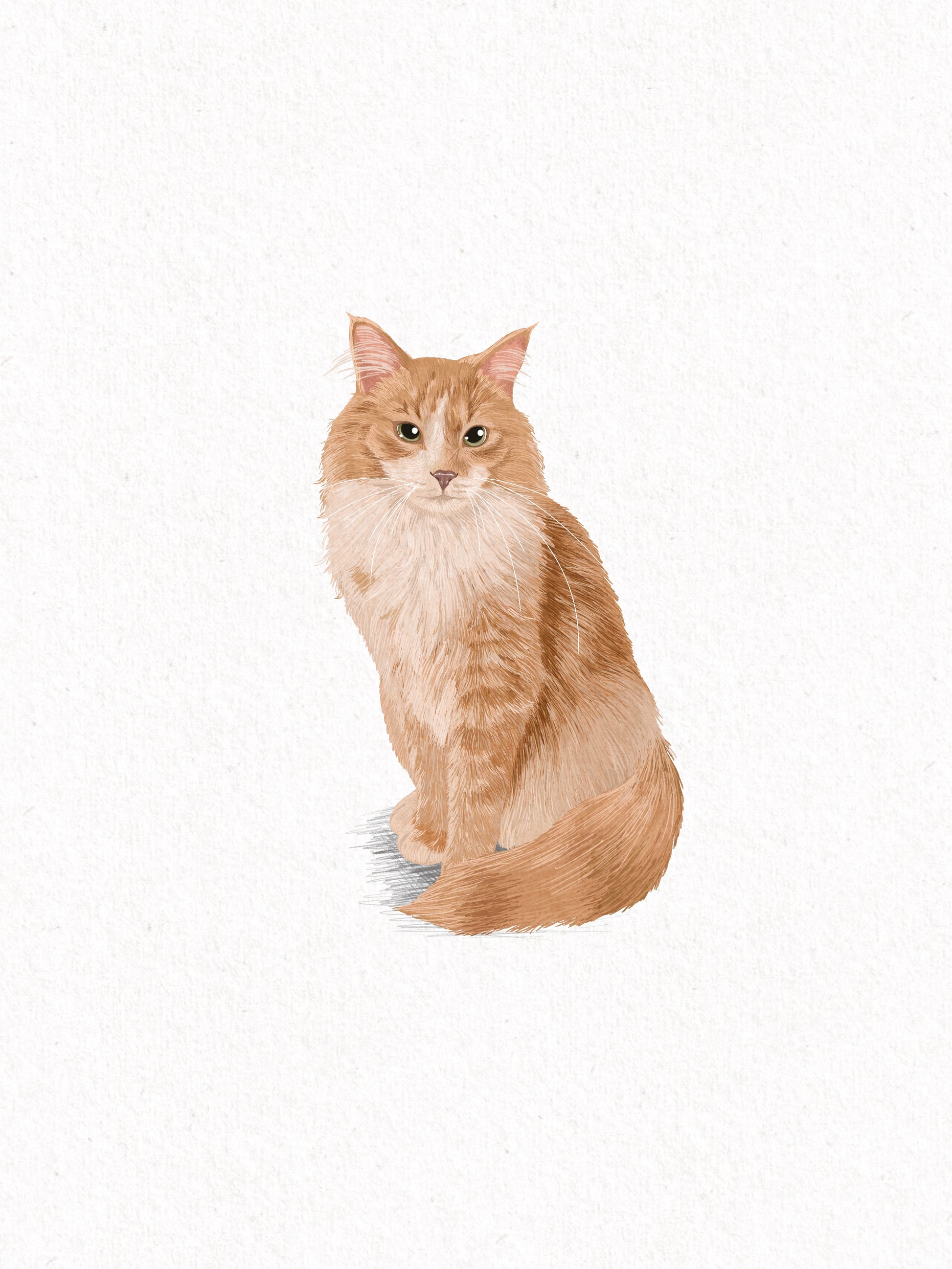 Sketchy Style (digital only)