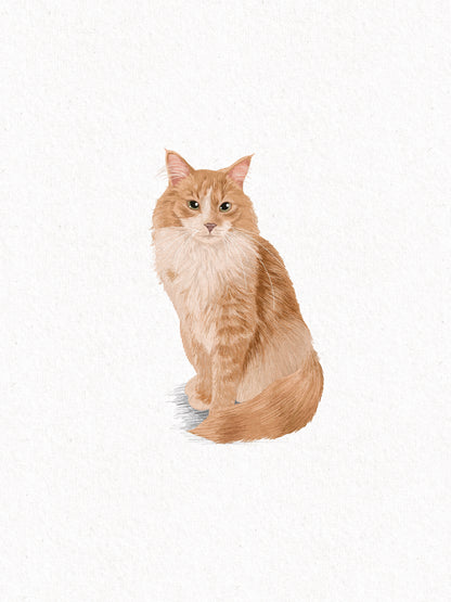 Colored Pencil Style (digital only)