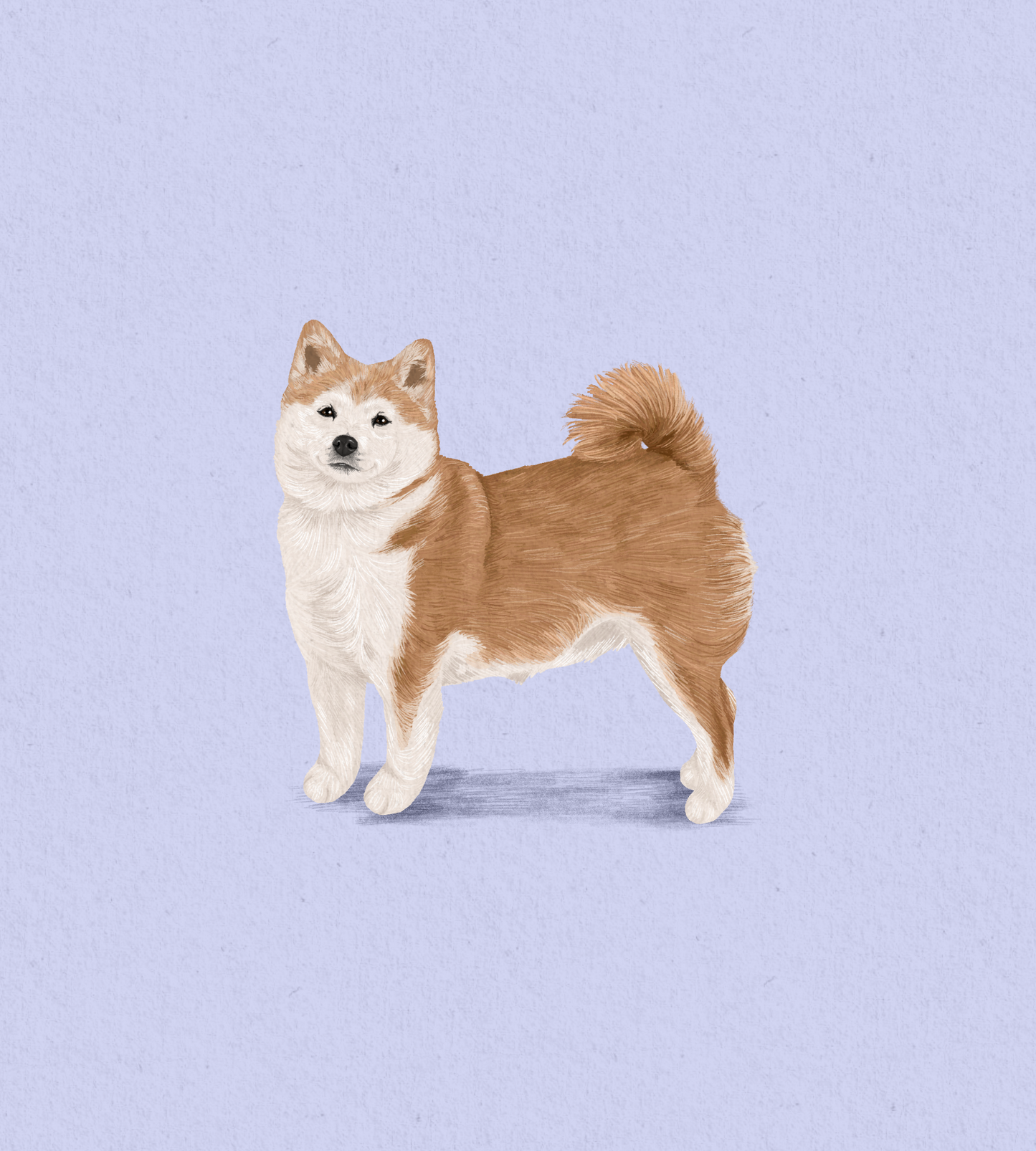 Colored Pencil Style (digital only)