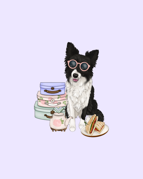 Whimsy Picnic 2026