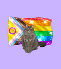 PRIDE 2026 Add-Ons
