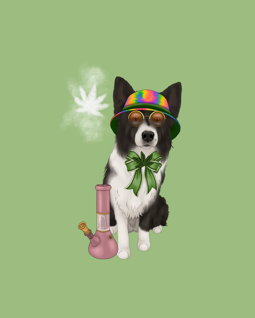 420 Add-Ons (2025)
