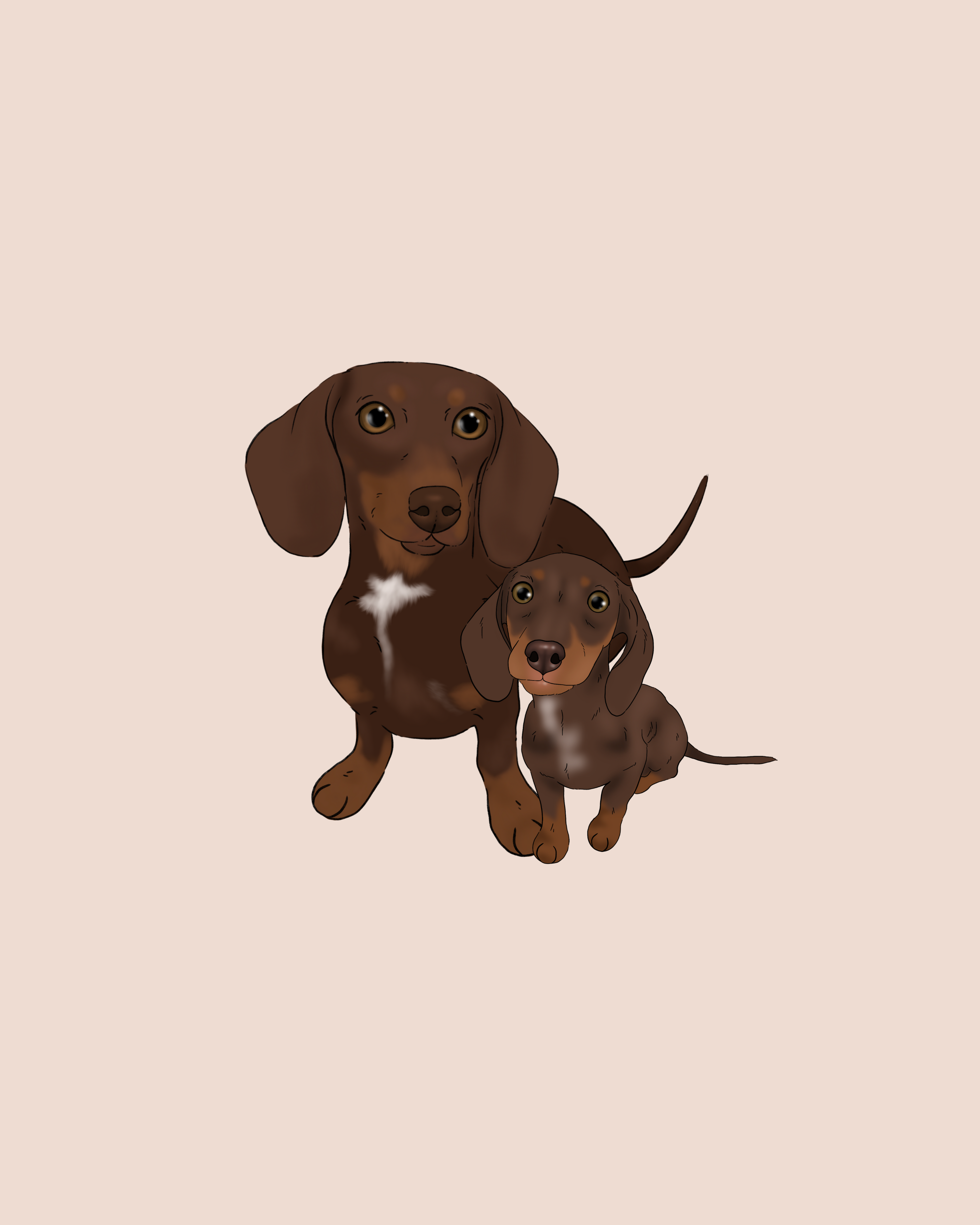 Pawtraits Through Time - (Signature Style) - (digital only)