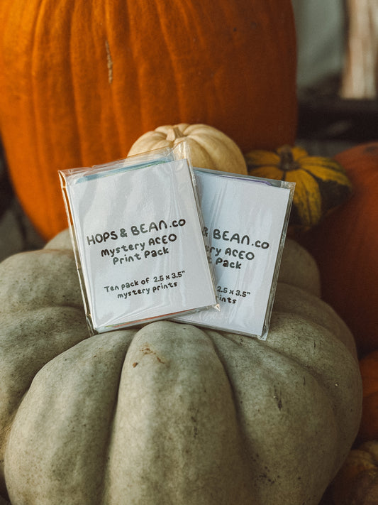 10 Pack of Mystery ACEO's - Halloween
