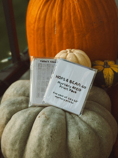 5 Pack of Mystery ACEO's - Halloween