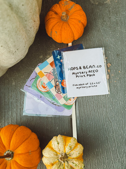 5 Pack of Mystery ACEO's - Halloween