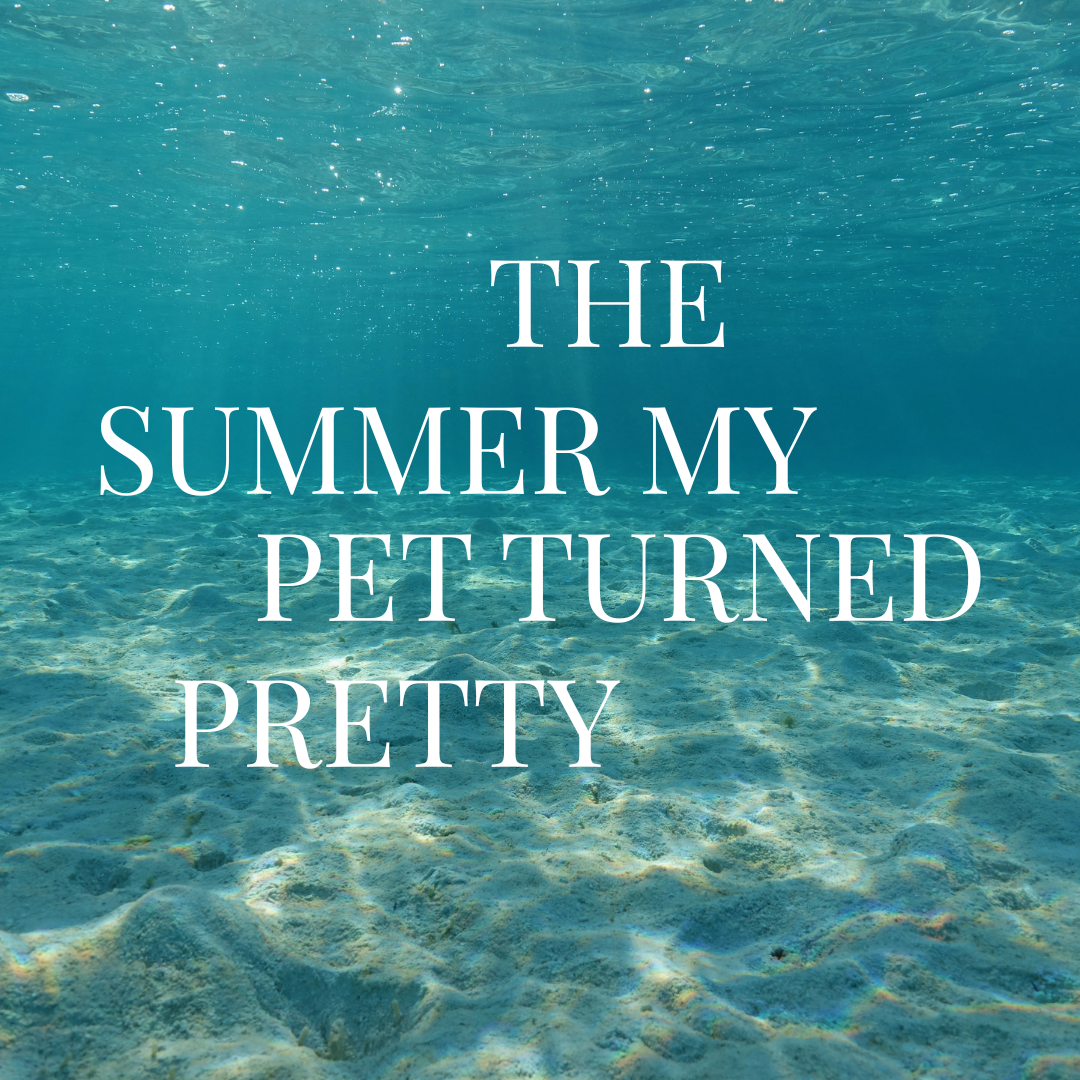 The Summer My Pet Turned Pretty (TSITP) Add-Ons