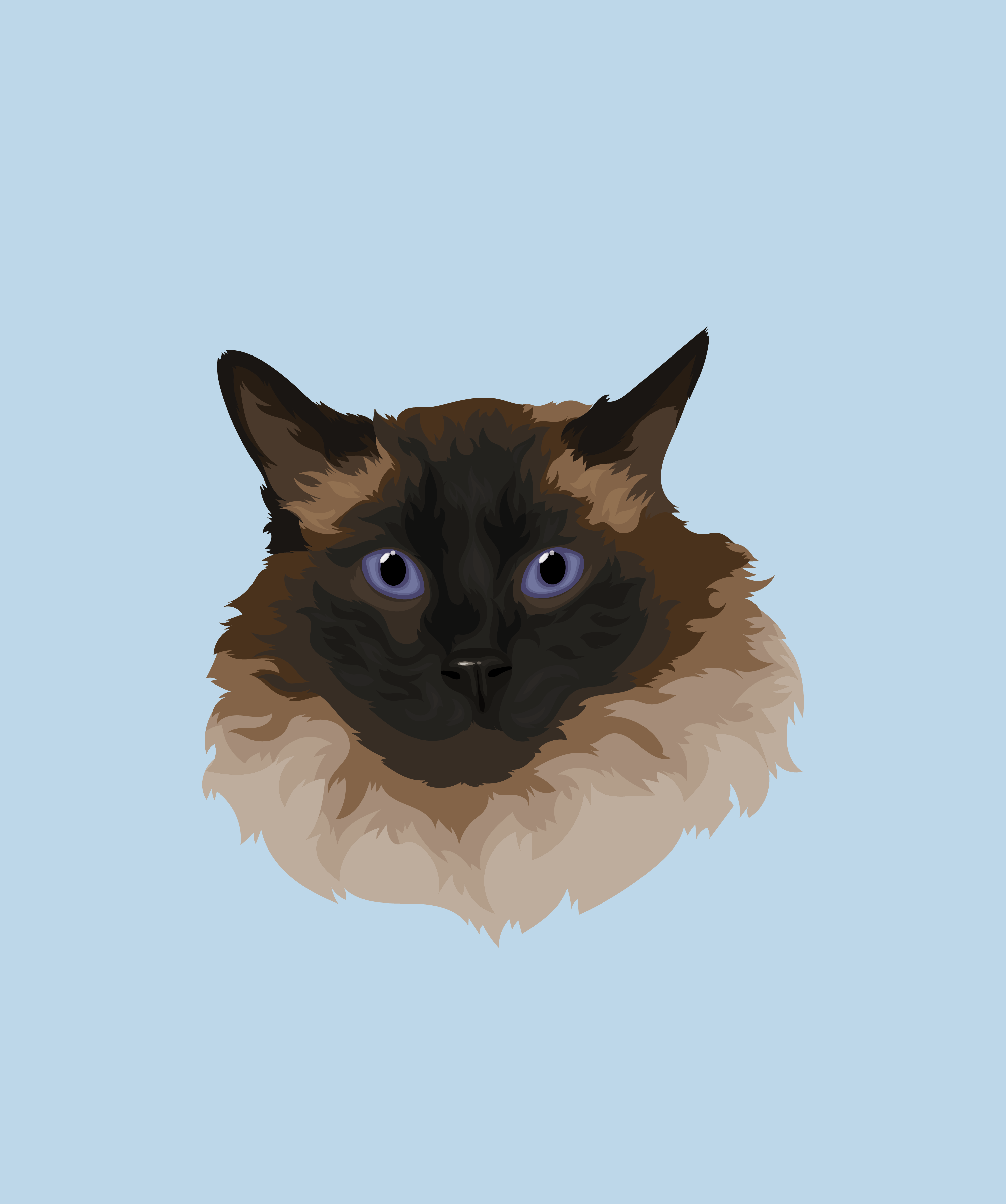 Vector Style (digital only)