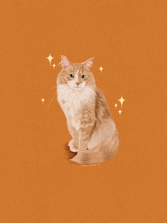 Colored Pencil Style (digital only)