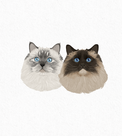 Colored Pencil Style (digital only)