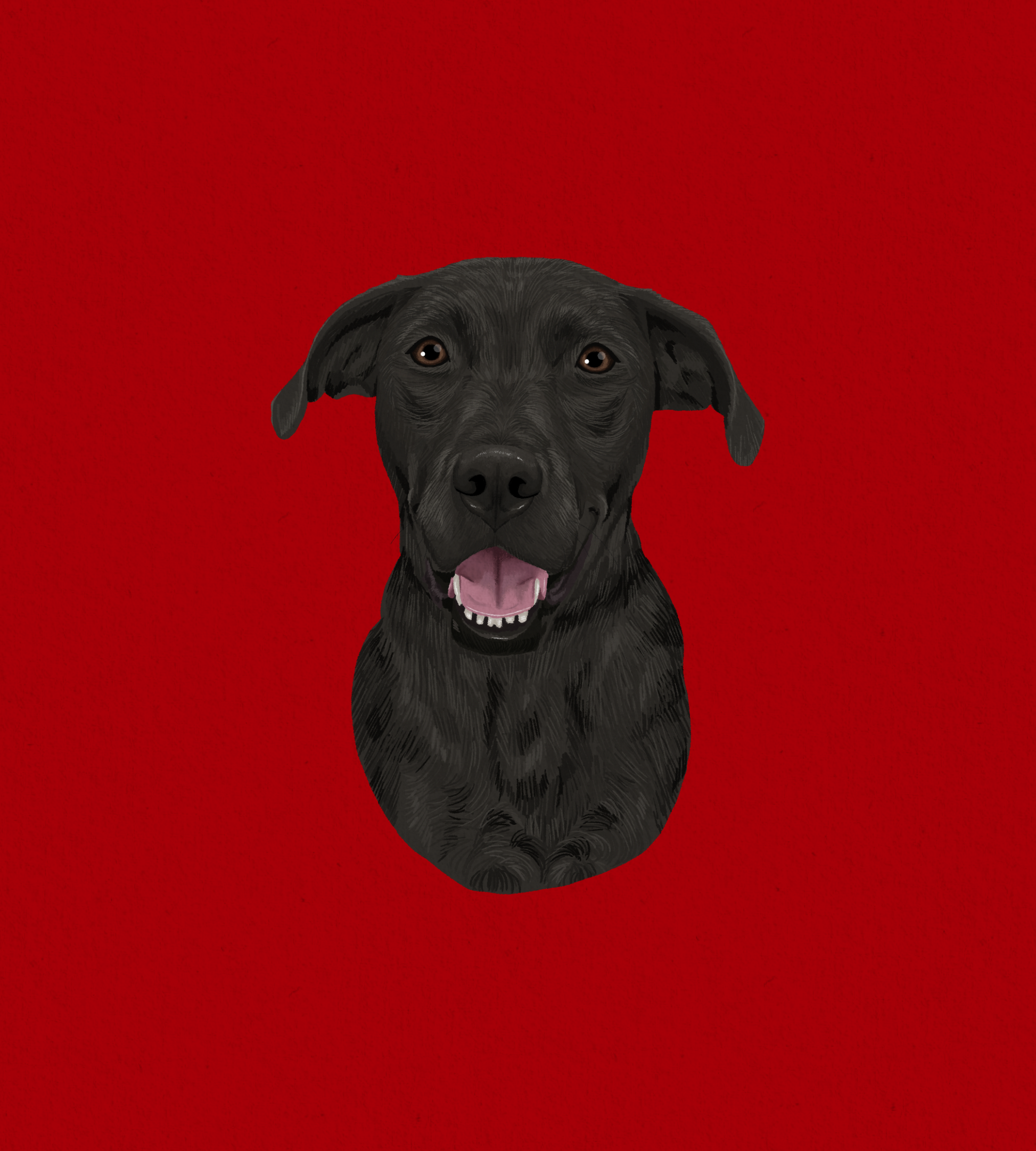 Colored Pencil Style (digital only)