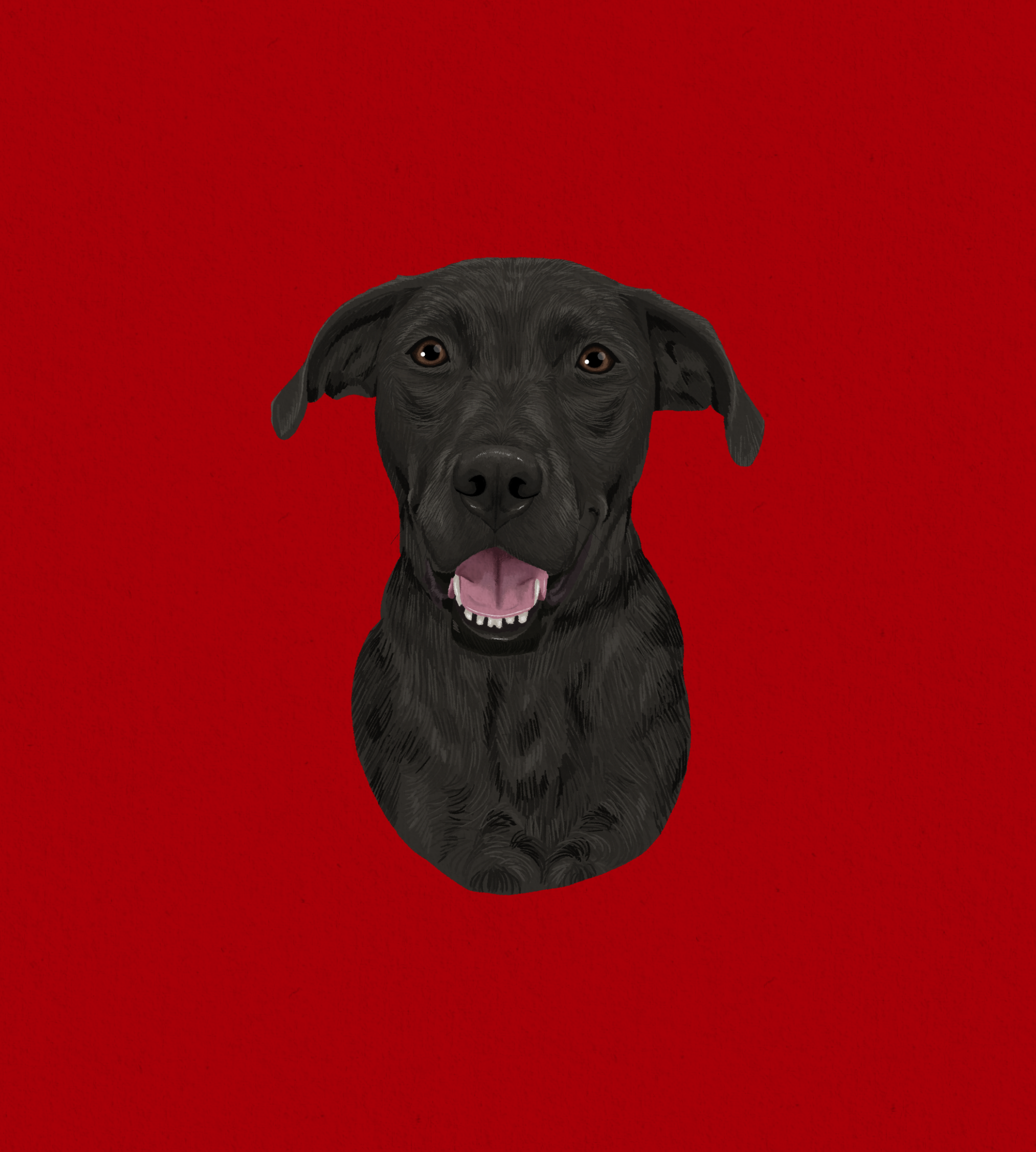 Colored Pencil Style (digital only)