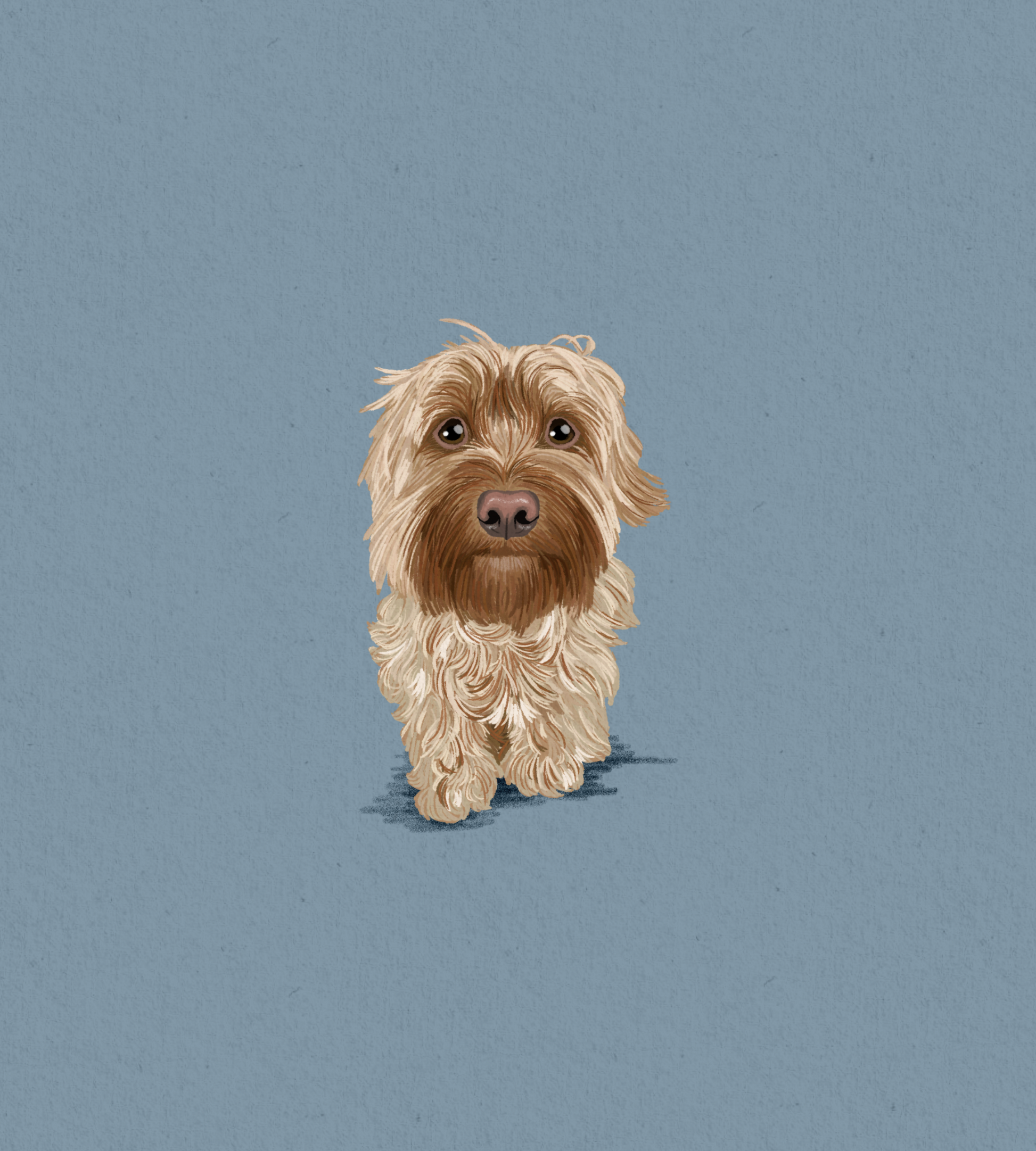 Colored Pencil Style (digital only)