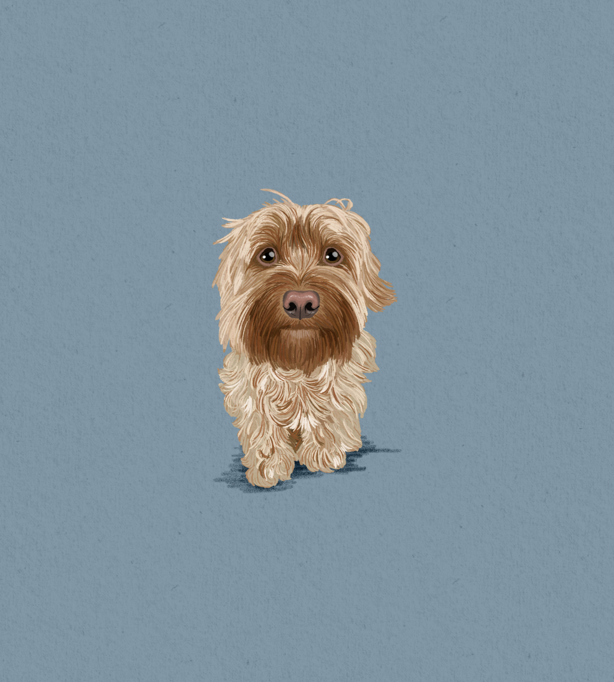 Colored Pencil Style (digital only)